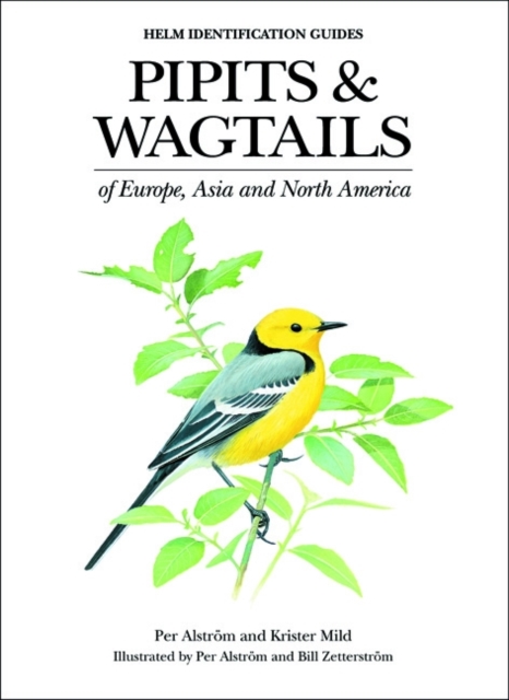 Pipits and Wagtails of Europe, Asia and North America, PDF eBook