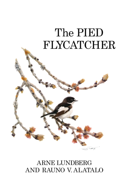 The Pied Flycatcher, EPUB eBook