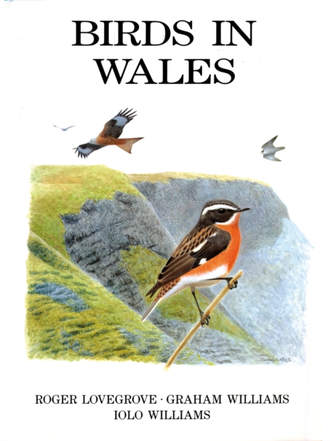 Birds in Wales, PDF eBook
