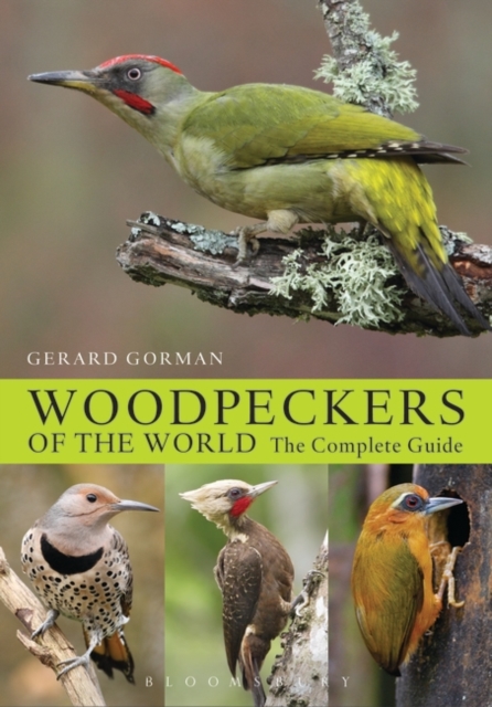 Woodpeckers of the World : The Complete Guide, Hardback Book
