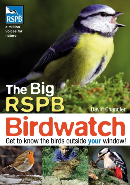 The Big RSPB Birdwatch, Paperback / softback Book