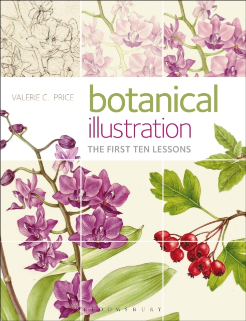 Botanical Illustration : The First Ten Lessons, Paperback Book
