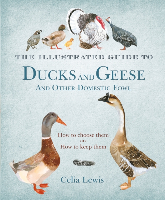 The Illustrated Guide to Ducks and Geese and Other Domestic Fowl, Hardback Book