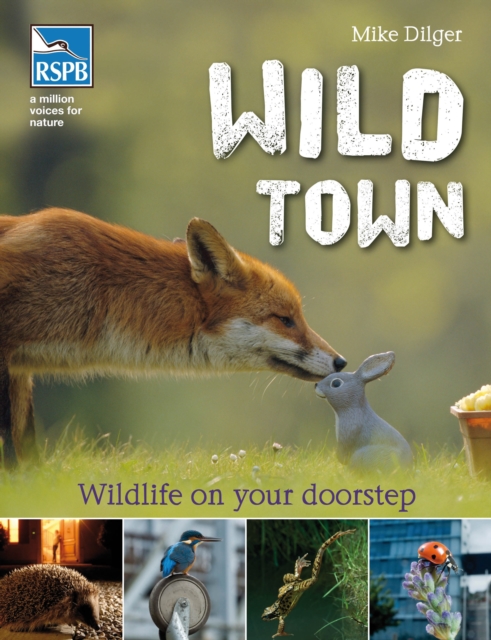 Wild Town, Paperback / softback Book