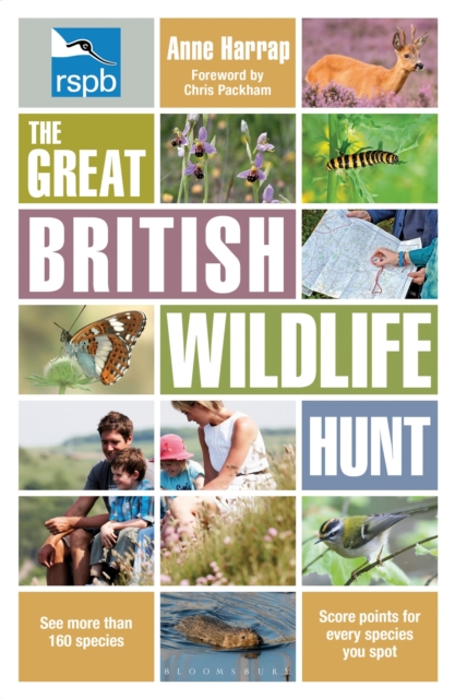 RSPB The Great British Wildlife Hunt, Paperback / softback Book
