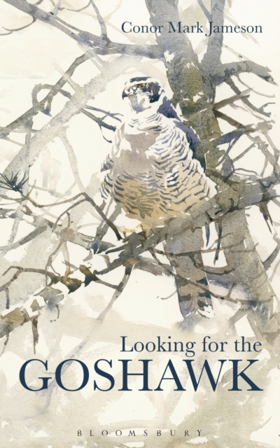 Looking for the Goshawk, EPUB eBook