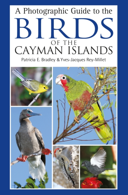 A Photographic Guide to the Birds of the Cayman Islands, PDF eBook