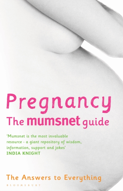 Pregnancy: The Mumsnet Guide : The Answers to Everything, EPUB eBook