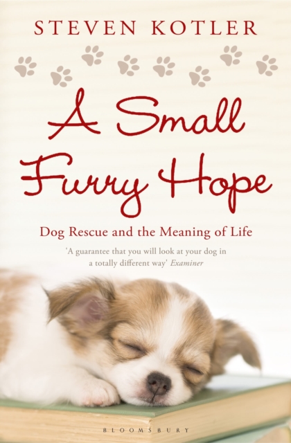 A Small Furry Hope : Dog Rescue and the Meaning of Life, Paperback Book
