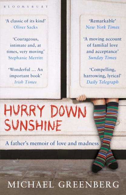 Hurry Down Sunshine : A father's memoir of love and madness, EPUB eBook