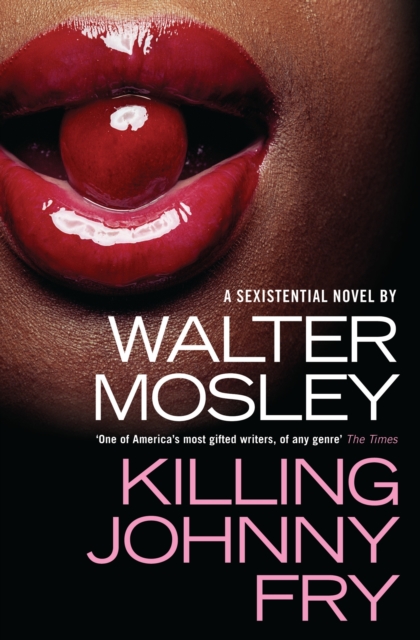 Killing Johnny Fry : A Sexistential Novel, EPUB eBook