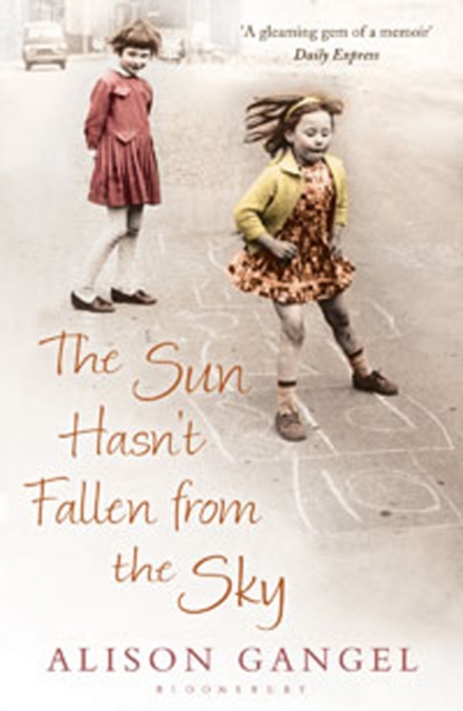 The Sun Hasn't Fallen From the Sky, Paperback / softback Book