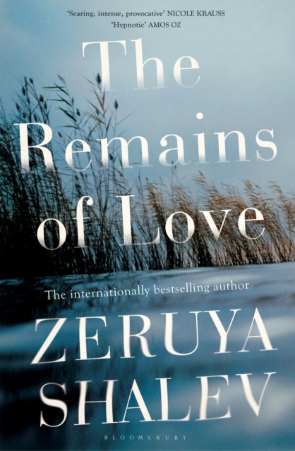 The Remains of Love, EPUB eBook