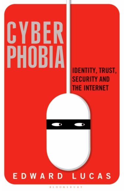 Cyberphobia : Identity, Trust, Security and the Internet, Hardback Book