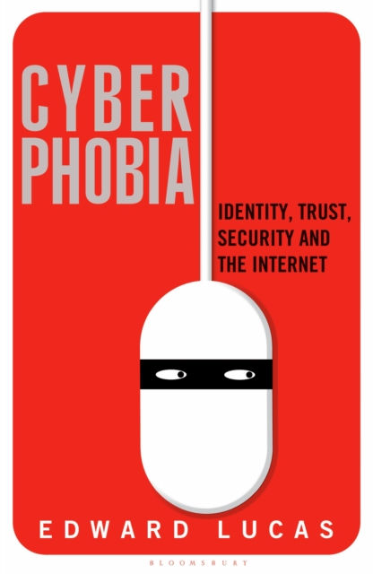 Cyberphobia : Identity, Trust, Security and the Internet, EPUB eBook