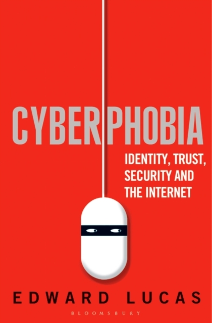 Cyberphobia : Identity, Trust, Security and the Internet, Paperback / softback Book