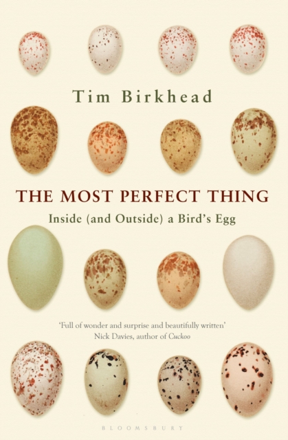 The Most Perfect Thing : Inside (and Outside) a Bird's Egg, Hardback Book