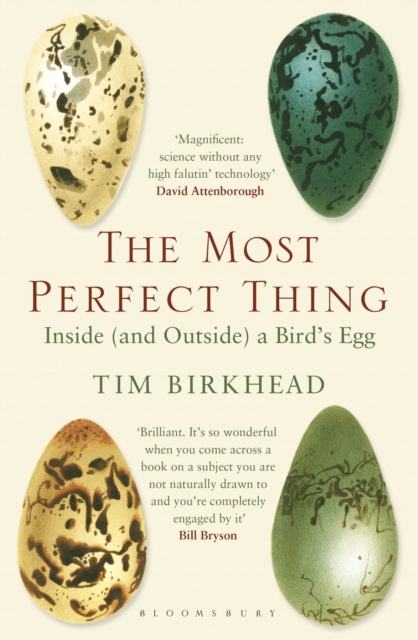 The Most Perfect Thing : Inside (and Outside) a Bird’s Egg, Paperback / softback Book