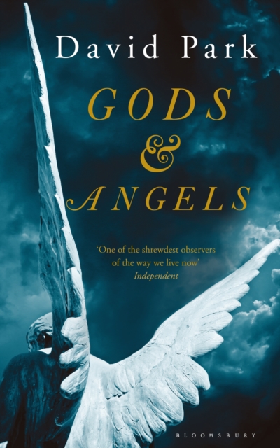 Gods and Angels, EPUB eBook