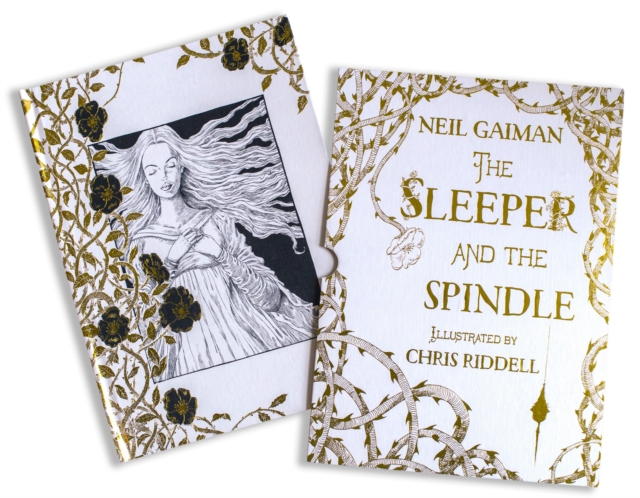 The Sleeper and the Spindle : Deluxe Edition, Hardback Book