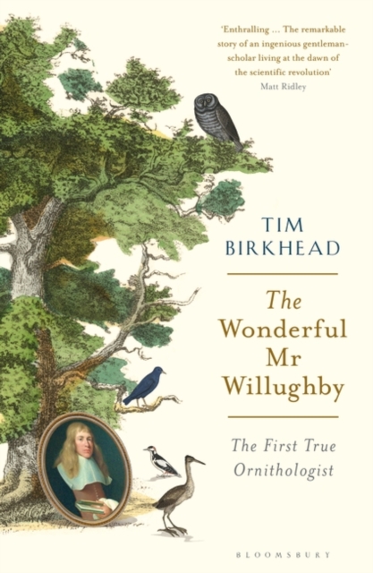 The Wonderful Mr Willughby : The First True Ornithologist, Paperback / softback Book