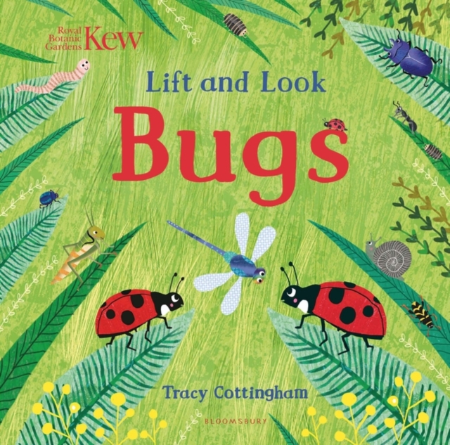 Kew: Lift and Look Bugs, Board book Book