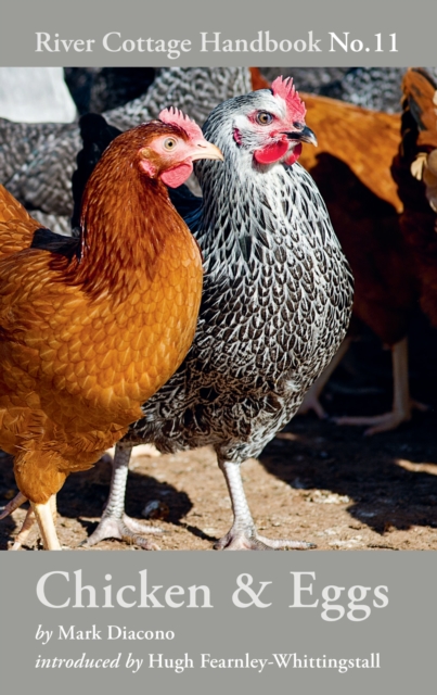Chicken & Eggs : River Cottage Handbook No.11, EPUB eBook
