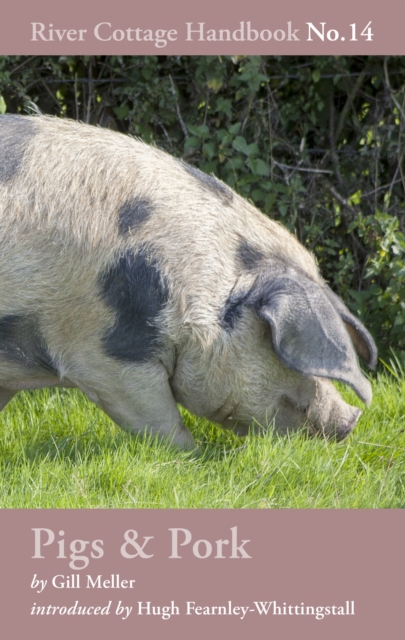 Pigs & Pork : River Cottage Handbook No.14, EPUB eBook