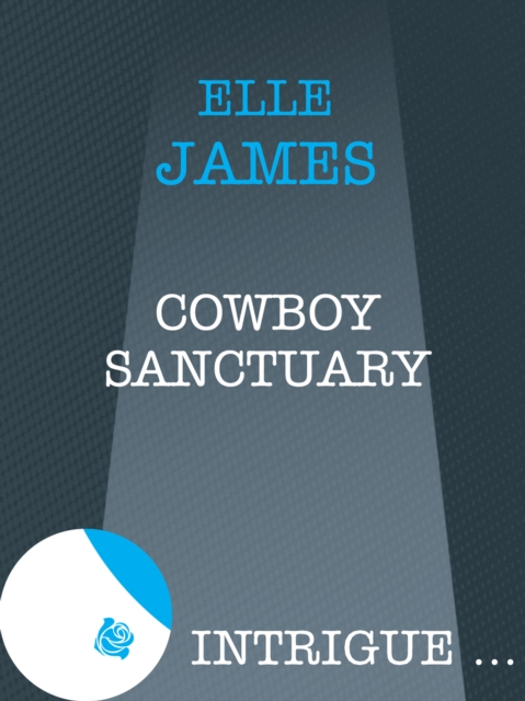 Cowboy Sanctuary, EPUB eBook