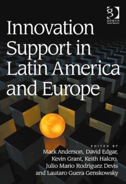 Innovation Support in Latin America and Europe : Theory, Practice and Policy in Innovation and Innovation Systems, Hardback Book