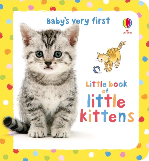 Little Book of Little Kittens, Board book Book