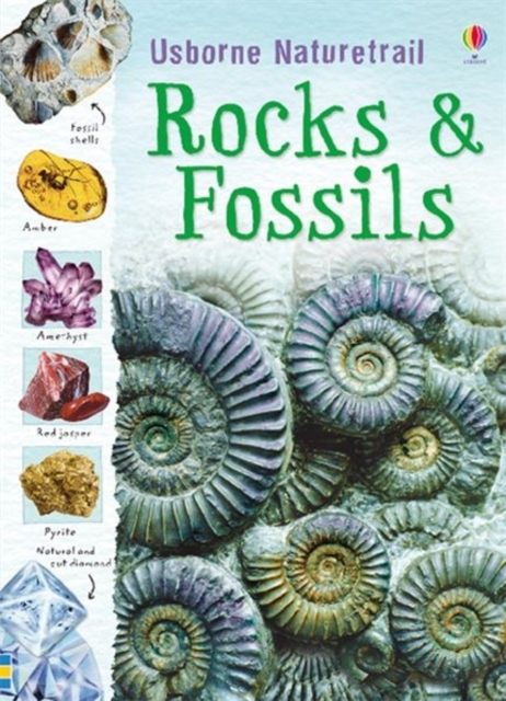 Rocks and Fossils, Paperback / softback Book