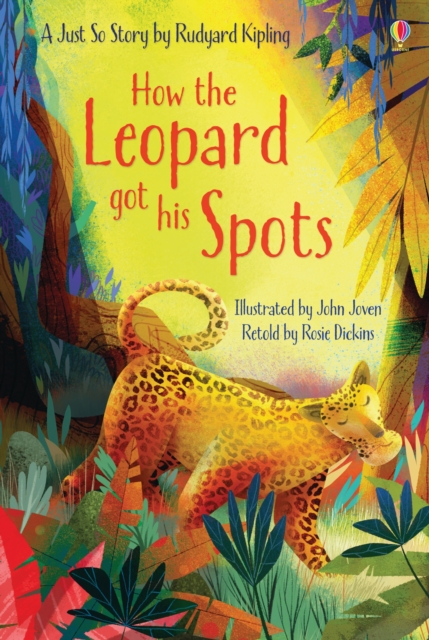 How the Leopard got his Spots, Hardback Book
