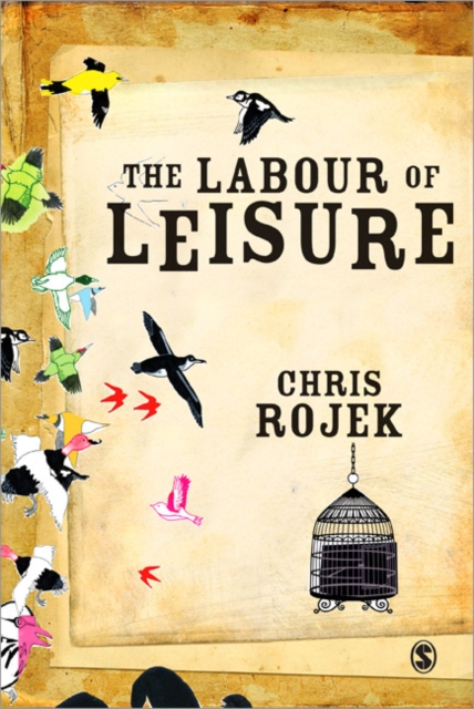 The Labour of Leisure : The Culture of Free Time, Paperback / softback Book