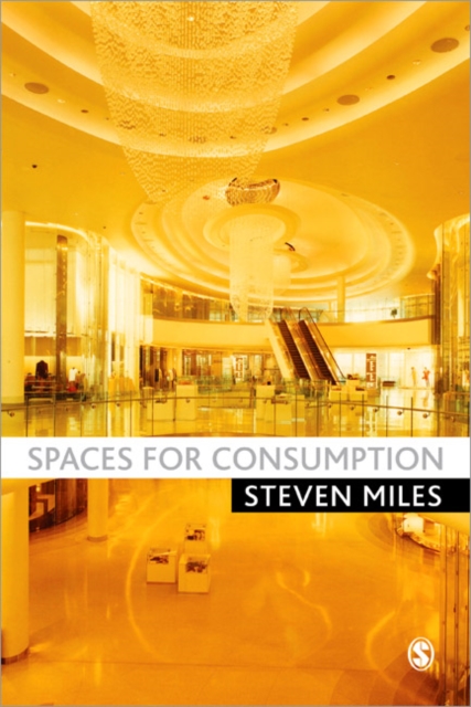 Spaces for Consumption, Paperback / softback Book