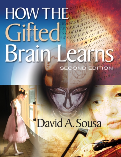 How the Gifted Brain Learns, Paperback / softback Book