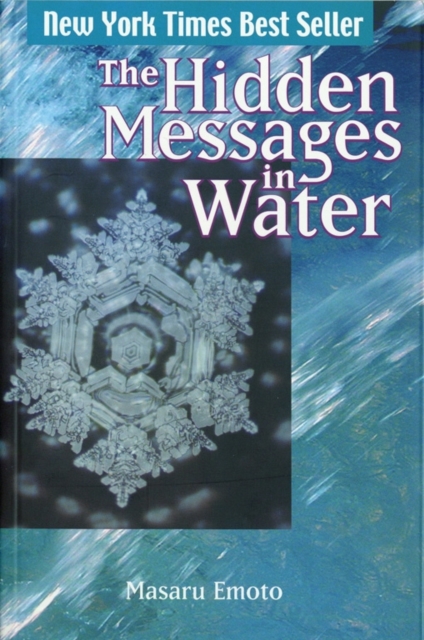 The Hidden Messages in Water, Paperback / softback Book