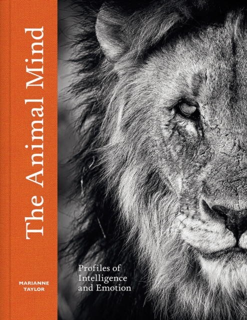 The Animal Mind : Profiles of Intelligence and Emotion, Hardback Book