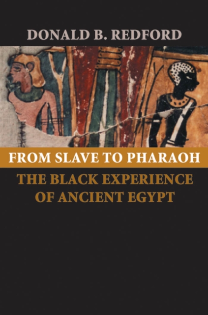 From Slave to Pharaoh, EPUB eBook