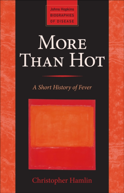 More Than Hot, EPUB eBook