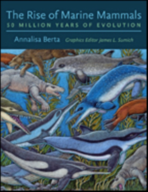 The Rise of Marine Mammals : 50 Million Years of Evolution, Hardback Book