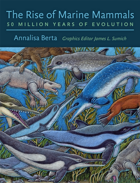 The Rise of Marine Mammals, EPUB eBook