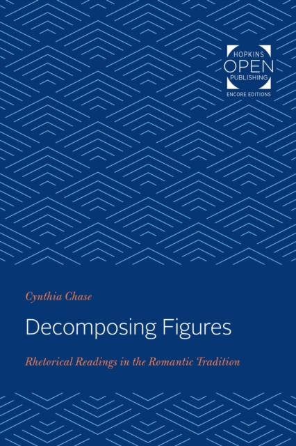 Decomposing Figures, EPUB eBook