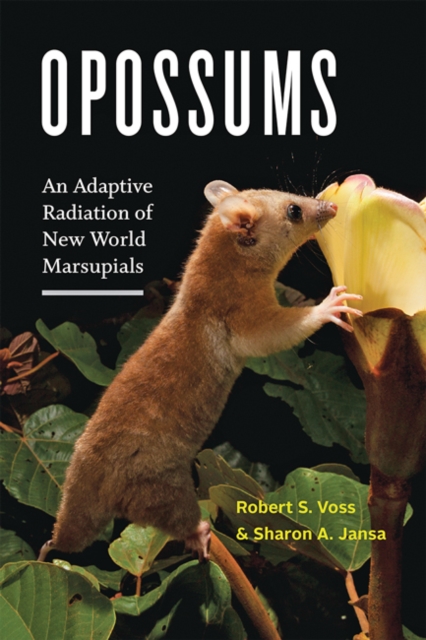 Opossums : An Adaptive Radiation of New World Marsupials, Hardback Book