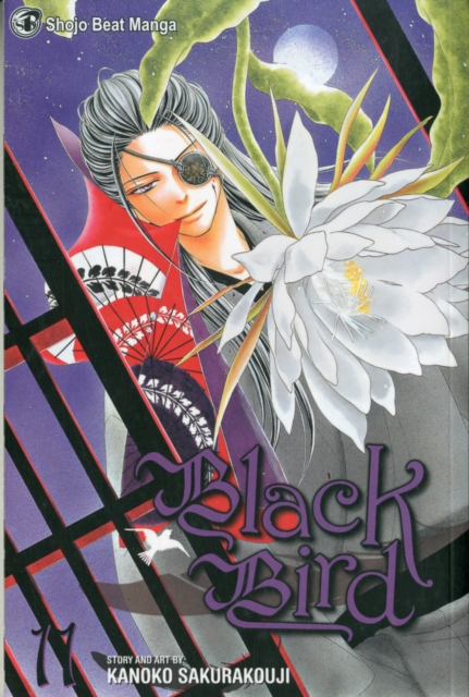 Black Bird, Vol. 11, Paperback / softback Book