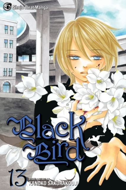 Black Bird, Vol. 13, Paperback / softback Book