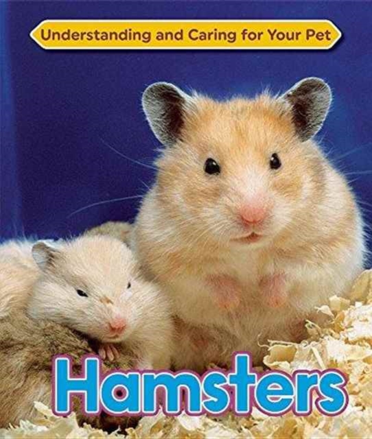 Hamsters, Hardback Book