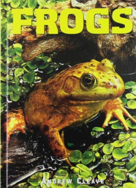 Frogs, Hardback Book
