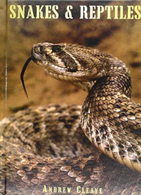 Snakes & Reptiles, Hardback Book