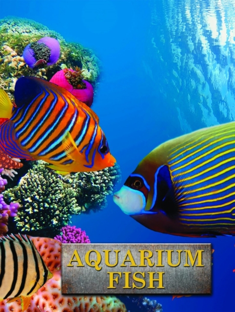 Aquarium Fish, Hardback Book